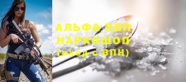 дурь Инта