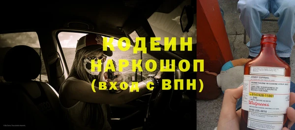 дурь Инта