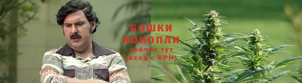 дурь Инта