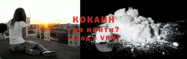 дурь Инта