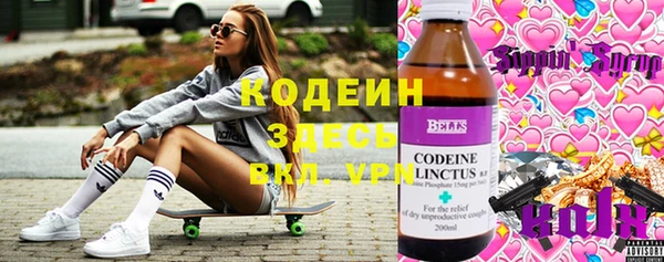 дурь Инта