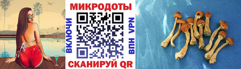 Купить  Миньяр  Галлюциногенные грибы мицелий 